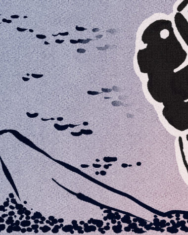 Illustration de l'article